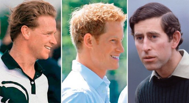 From left to right. James Lifford Hewitt, former cavalry officer in the  British Army. Prince Harry. Charles, Prince of Wales. - Album on Imgur