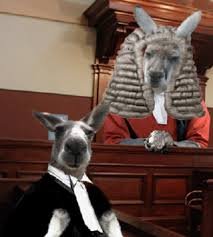 Image result for Kangaroo court