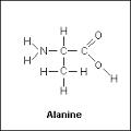 Image result for alanine