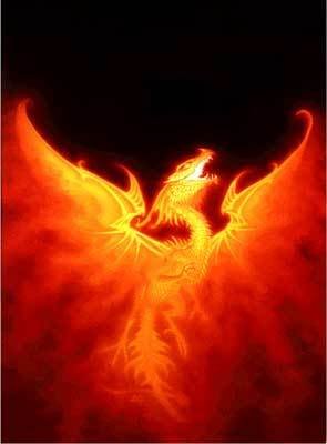 fire dragon