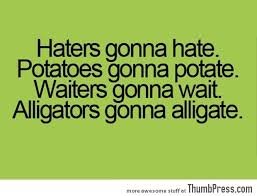 Image result for haters gonna hate