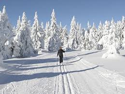 Image result for canadian winter scenery