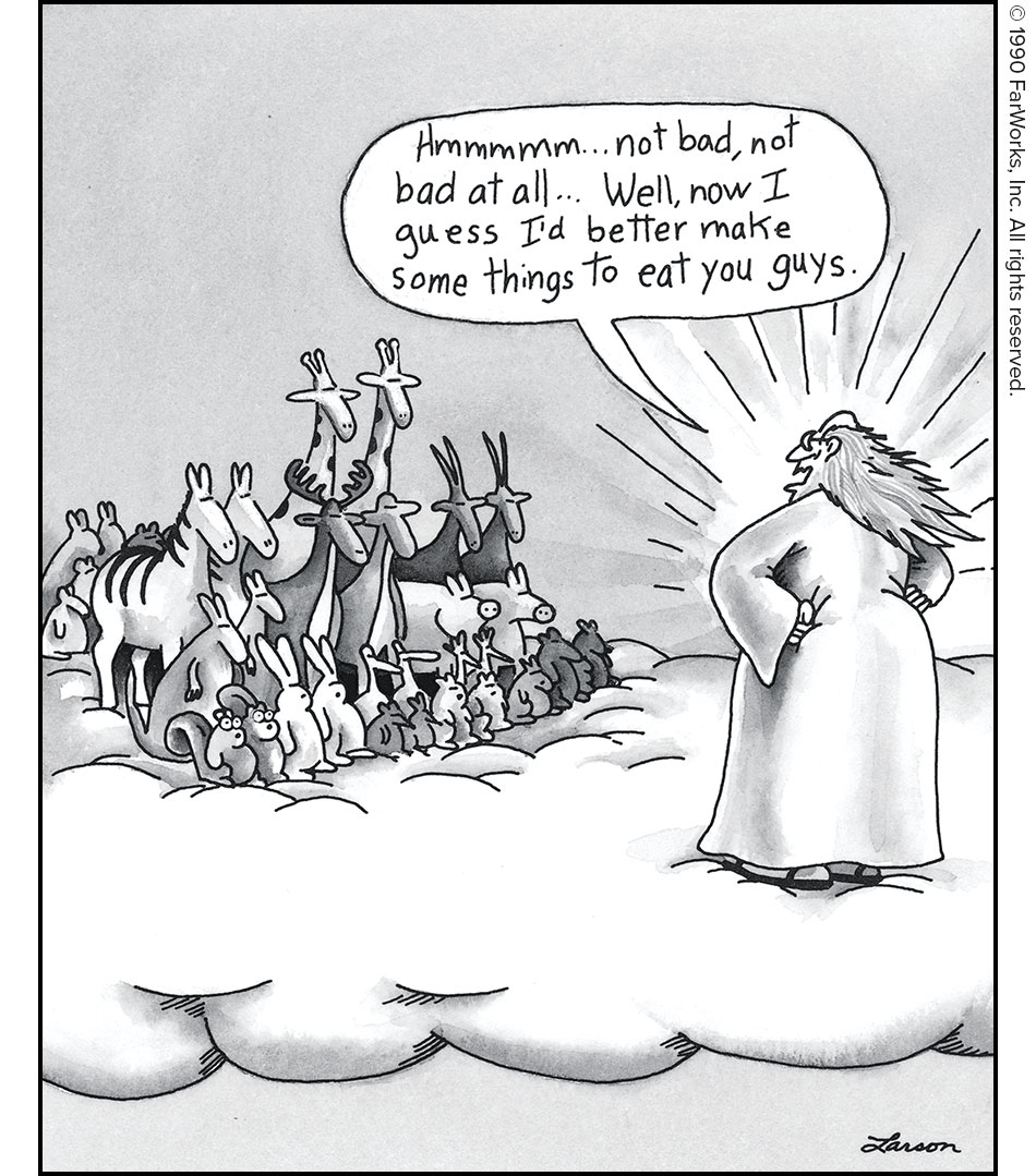 https://i.pinimg.com/originals/96/1a/78/961a780590342519166a1d3faeba109e.png