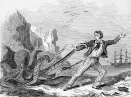 Image result for wrestle an octopus