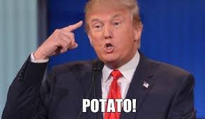 Image result for Donald trump looking dumb