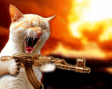 http://farm5.static.flickr.com/4060/4399231983_b84d69c121_o.gif