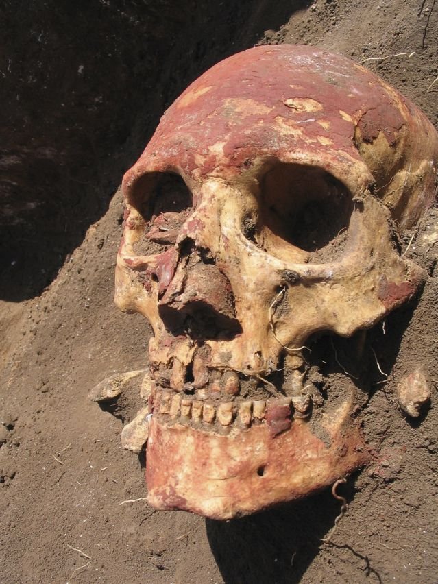 An ancient Yamnaya skull painted with red ocher. 