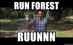 Image result for RUN FOREST RUN