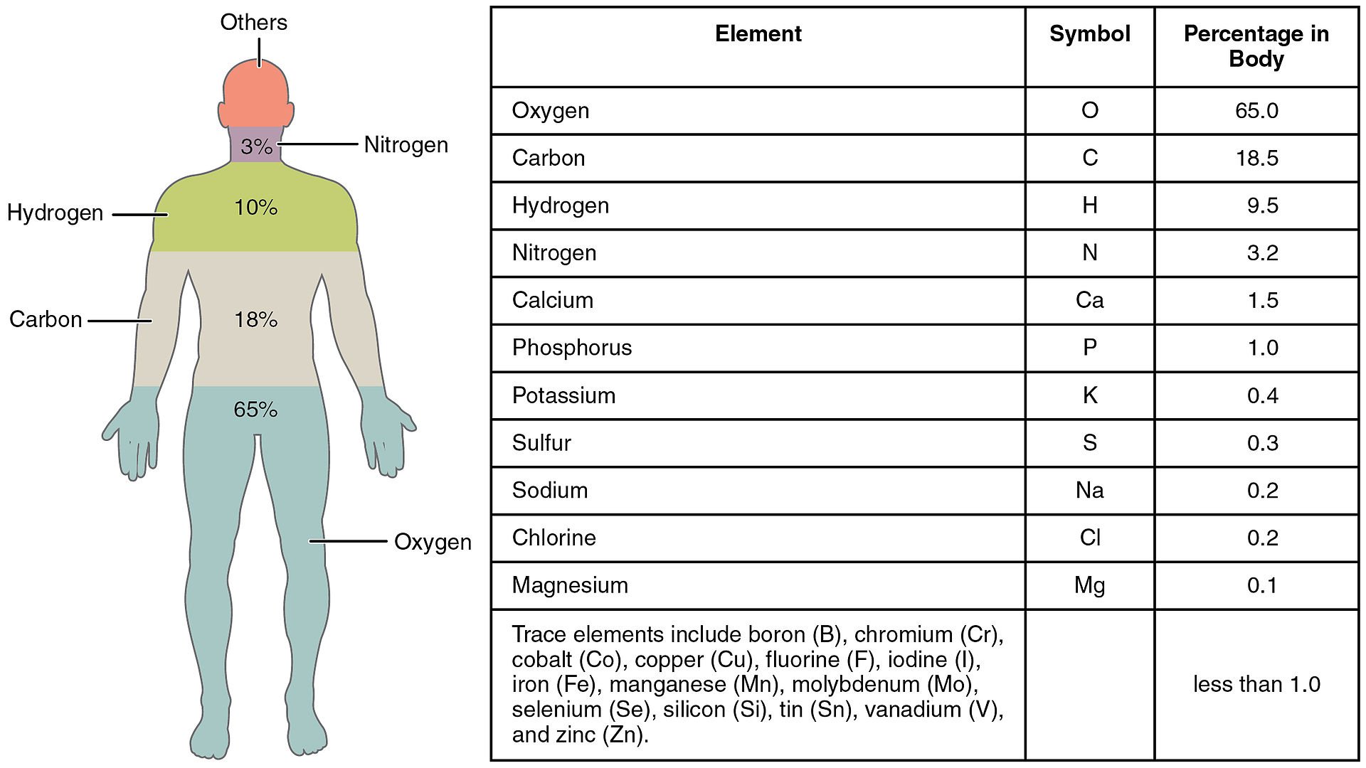 human elelements