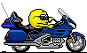 Motorbike 6