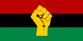 Image result for black power flag