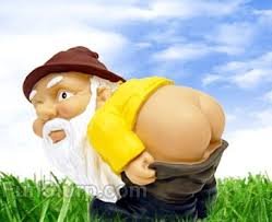 Image result for garden gnome mooning