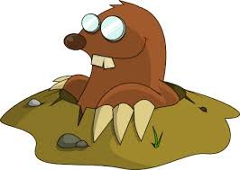 Image result for Funny mole cartoon