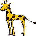 Noah's Ark