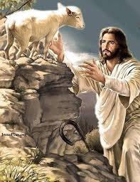 Image result for jesus with lamb