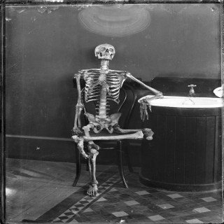 http://brandonacox.com/wp-content/uploads/portrait_of_an_articulated_skeleton_on_a_bentwood_chair-320x320.jpg