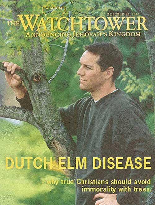 dutch elm