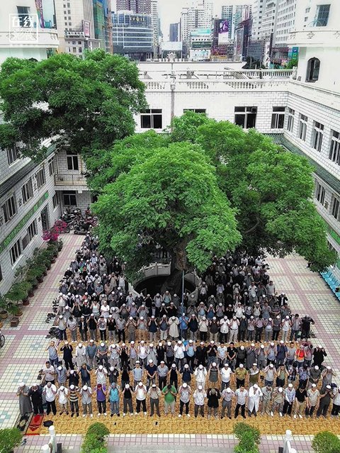 Eid al-Fitr13.jpg