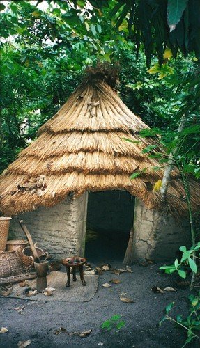 jungle hut