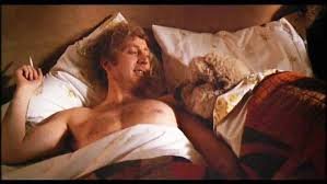 Image result for sheep wanted