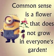 Image result for common sense isn`t common