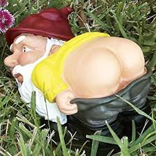 Image result for Garden gnome mooning