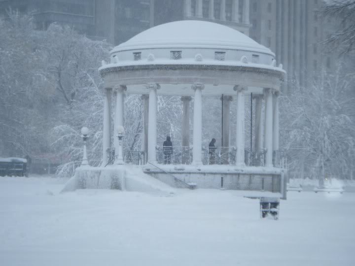 boston 6
