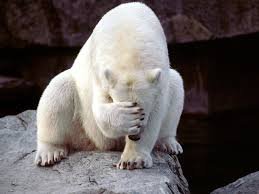 Image result for facepalm