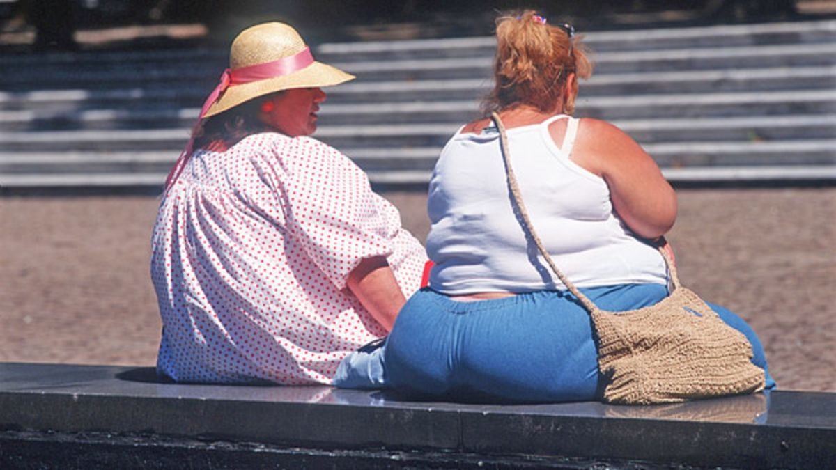 Image result for fat americans"