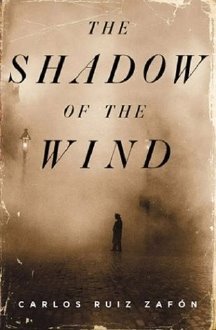Image result for shadow of the wind