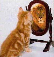 Image result for cat looking in mirror