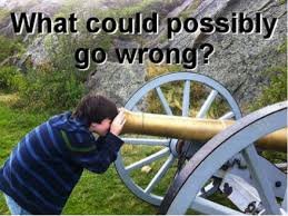 Image result for What could possibly go wrong