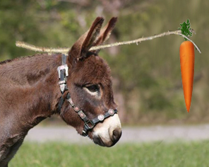 High Quality carrot on a stick Blank Meme Template