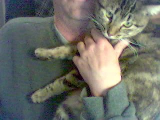 Max as a kitten
