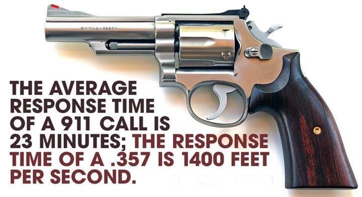 357 Magnum Meme | The Savannah Arsenal Project
