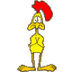 dancing shicken