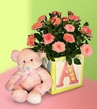 Baby Girl Block Planter with Pink Bear
