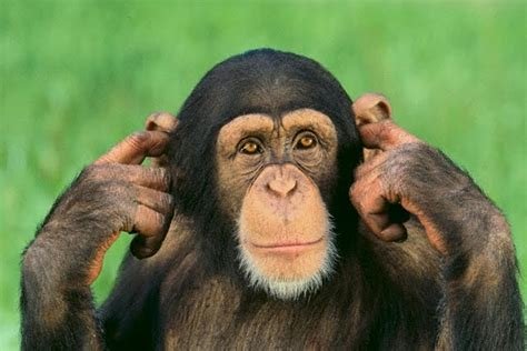 4 Major Obstacles to Effective Listening - KMM Consulting