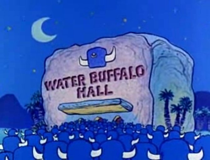 Water Buffaloes