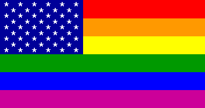 Image result for rainbow flag gay
