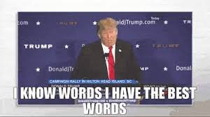 Image result for donald trump i know great words