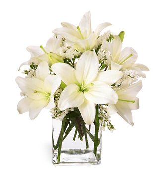 Lily