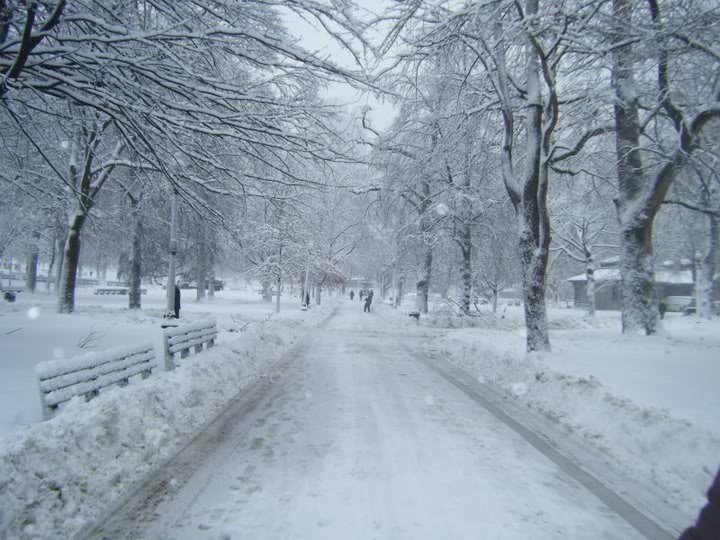 Boston 2