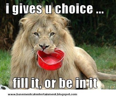Lion with bowl in mouth