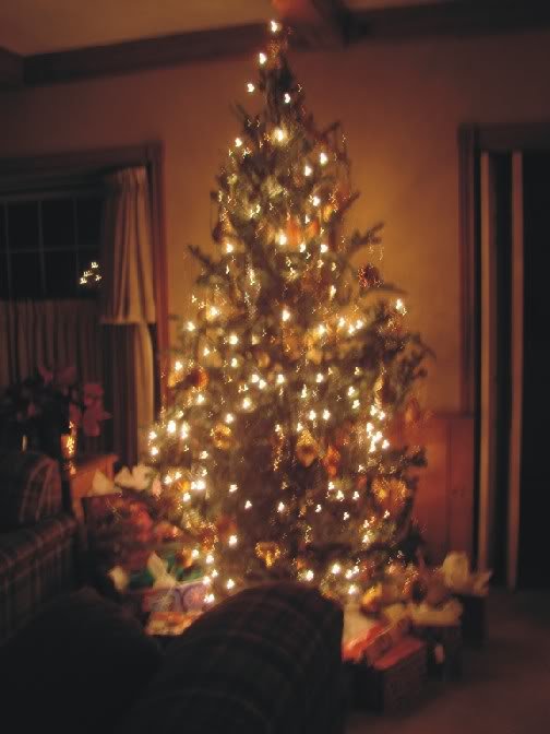 Christmastree.jpg picture by GuestwithQuestions
