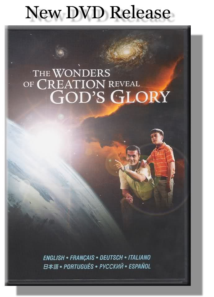 DVD 1