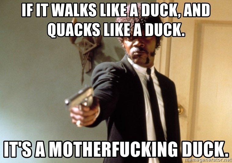 Image result for if it walks like a duck meme