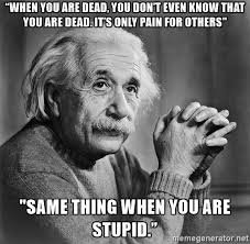 Image result for stupid