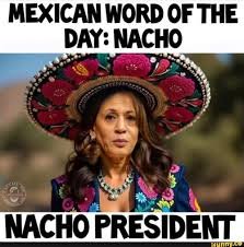 MEXICAN WORD OF THE DAY: NACHO NACHO ...
