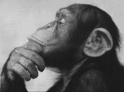 Thinking Monkey - Mind Of A HighwayCreature Photo (20325873) - Fanpop